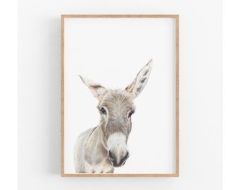 Donkey Art Print, Farmhouse Decor,  Rustic Farm Animal Art, Print for Boys, Animal Lovers Gift, Housewarming Gift