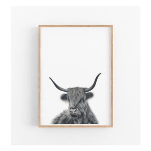 Highland Cow Print, Cow Decor, Nursery Wall Art, Prints for Boys, Large Wall Art image 1