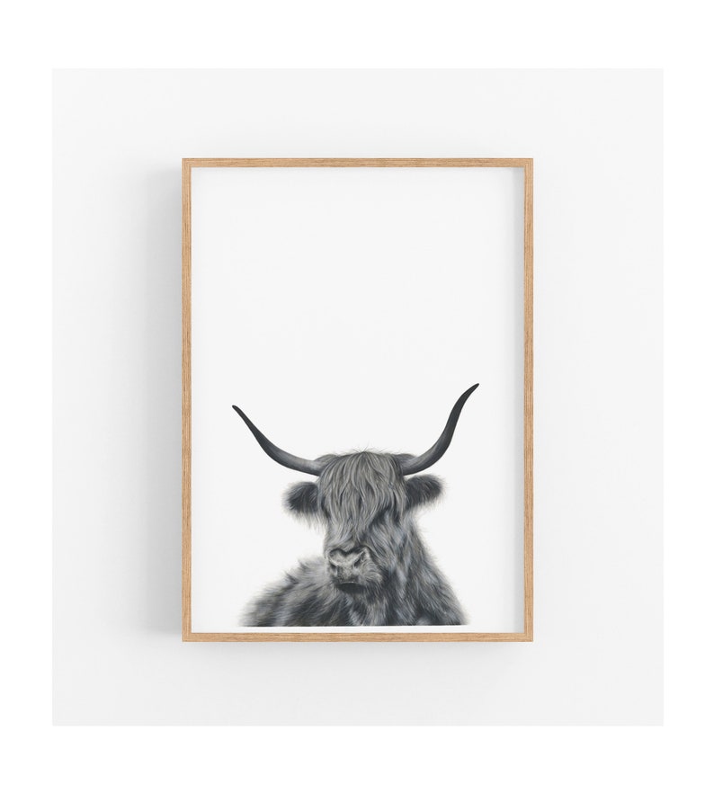 Highland Cow Print, Cow Decor, Nursery Wall Art, Prints for Boys, Large Wall Art image 1