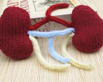 Set of Kidneys, Human Kidneys with Ureters & Veins, Knit Teaching Aid, Knitted Body Part, Knit internal Organ