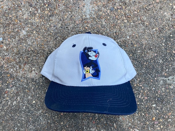 Vintage 90s Animaniacs Six Flags Snapback Hat by Warner Bros | Etsy