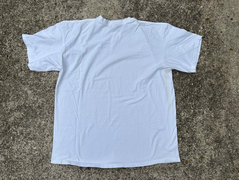 May include: A plain white t-shirt with short sleeves and a crew neck.