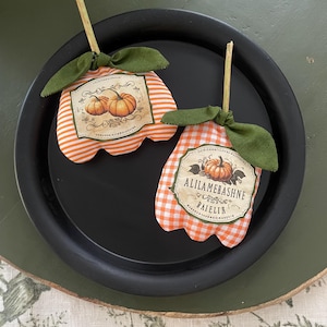 Zwei Mini Kürbisse