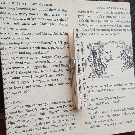 Winnie The Pooh And Tigger Book Page Plaque And Peg For Notes