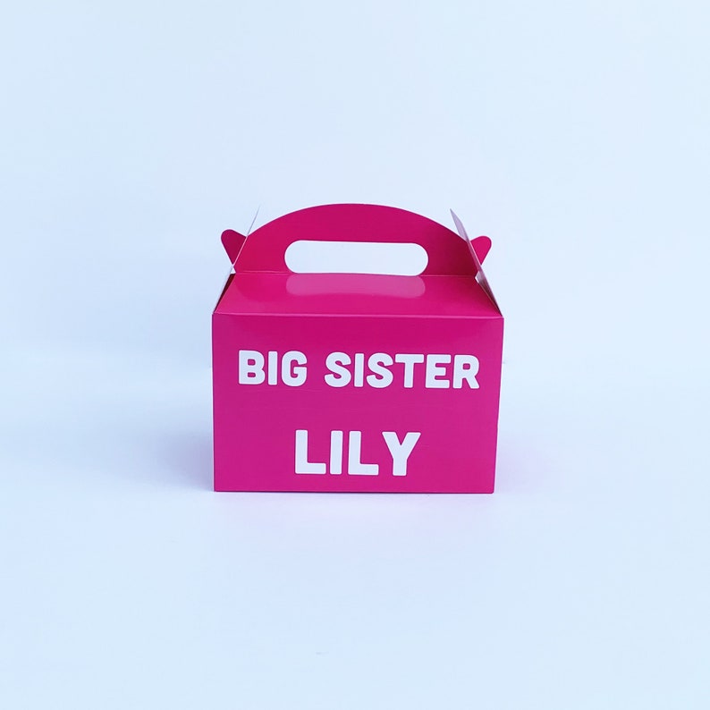May include: Pink cardboard gift box with a handle. The box has the words "BIG SISTER LILY" printed on the front.