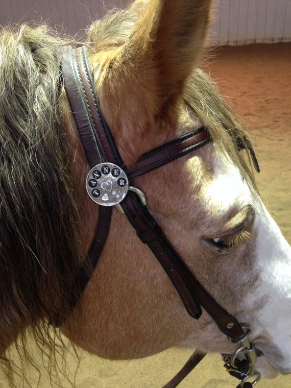 Horse Tack Rosette Conchos Are A Beautiful Decorative Etsy