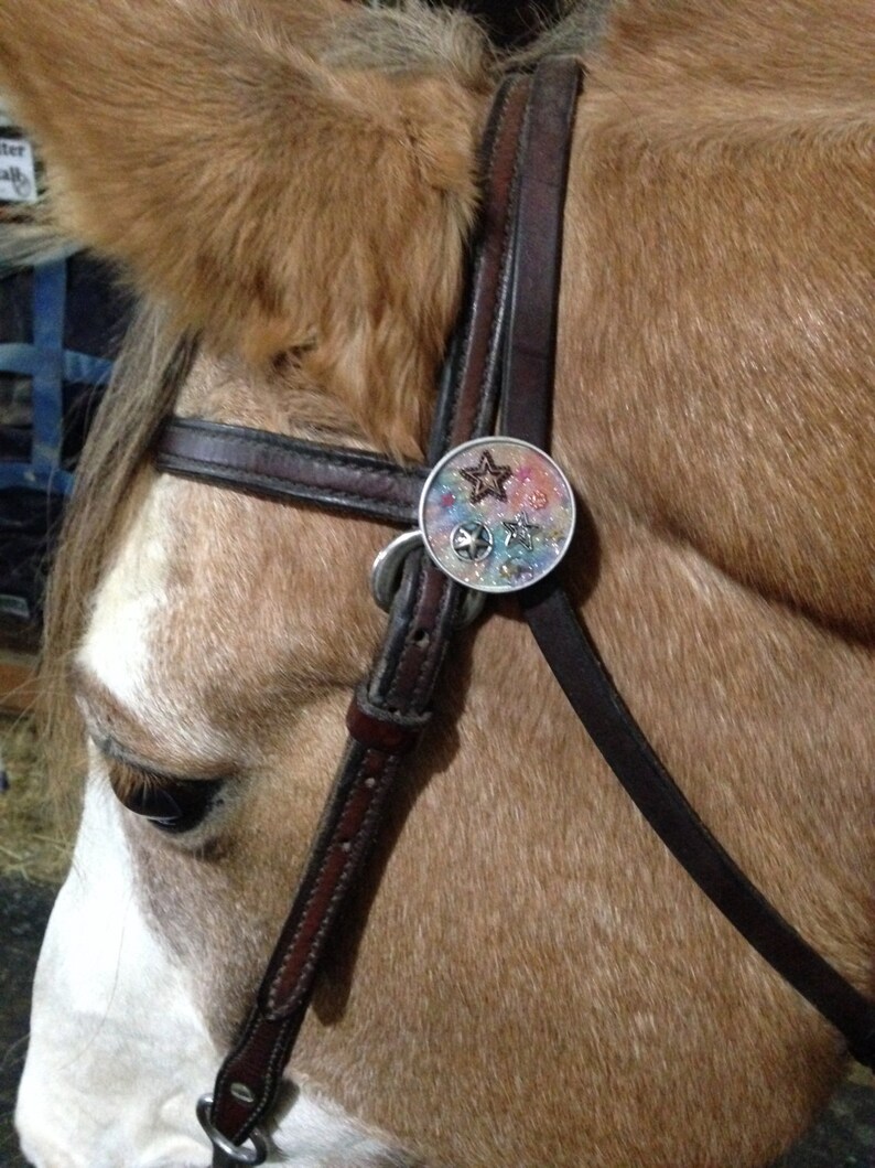 Horse tack..Western Rosette conchos, diamond cross, pink, silver, christian accessories, image 8