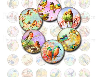 Birds Clip Art, Digital Collage Sheet of 1" inch Round Circles featuring Images of Vintage Pastel Birds, Instant Printable Download Graphics