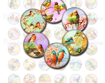 Vogels-illustraties, digitale Collage blad van 1" inch ronde cirkels met afbeeldingen van Vintage Pastel vogels, Instant afdrukbare downloaden Graphics