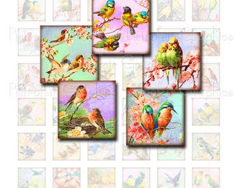 Vintage BirdClip kunst, digitale Collage blad van 1" Inch vierkante afbeeldingen Vintage volière vogels, Instant afdrukbare downloaden DIY sieraden graphics