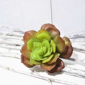 May include: An artificial succulent plant with a rosette shape, featuring green and brown tones. The succulent is displayed against a white backdrop.