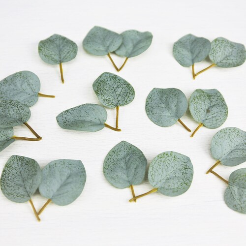 25 Pieces Eucalyptus Leaf Artificial Eucalyptus Cupcake Etsy