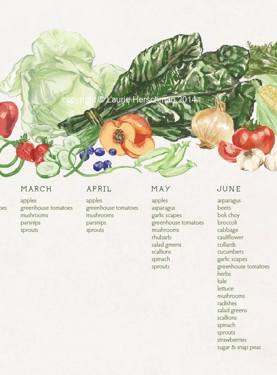 New England Seasonal Produce Chart