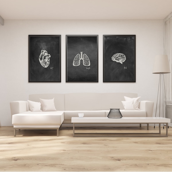 Medical Anatomy Prints- Digital Download- Wall Art Set of 3 - Industrial - Vintage