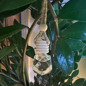 May include: A clear glass bottle with a geometric shape, filled with a liquid. The bottle is hanging from a white wooden bead and string, attached to a green plant.