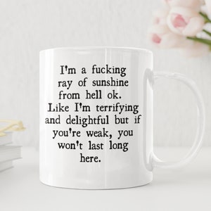 I'm a fucking ray of sunshine - inappropriate mug - Sarcastic mug - Naughty Mug- adult mug - Adult humor