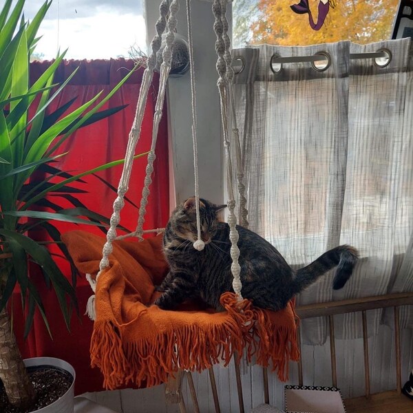 Hanging Cat Bed Etsy