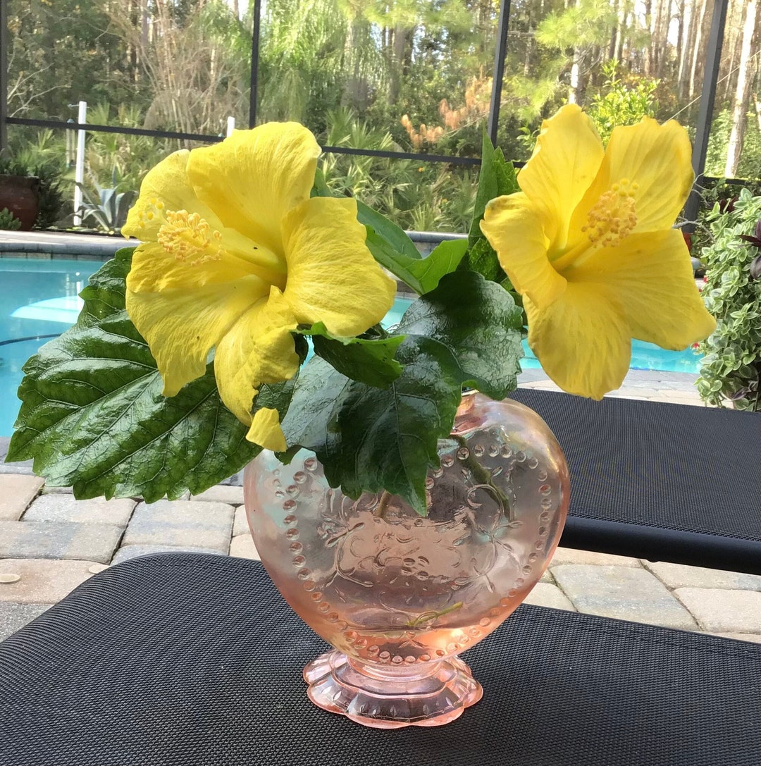 Pink Depression Clear Glass Heart Shape Vase With Metal Frog Lid for