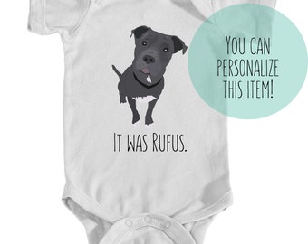 apparel for pitbulls