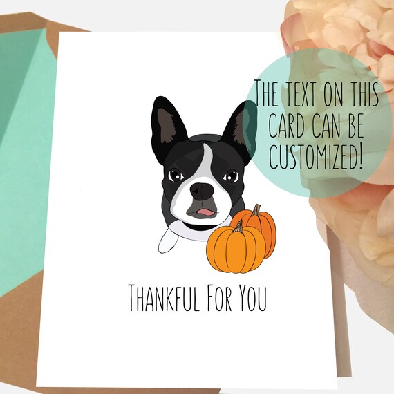Boston Terrier Thanksgiving Card Mini Schnauzer Card Thankful