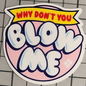 Blow Me Sticker, Adult Humor, Water Resistant Sticker, Sarcastic Decal, Offensive Decals, Why Don't You Blow Me Sticker image 4
