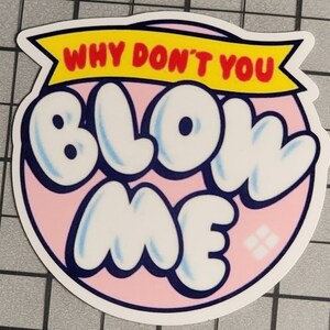 Blow Me Sticker, Adult Humor, Water Resistant Sticker, Sarcastic Decal, Offensive Decals, Why Don't You Blow Me Sticker image 2