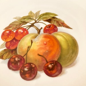 Six MidCentury Bavarian China Fruit Plates 8&quot;-Round Autumn Harvest Nuts Leaves Berries w/ Gold Edge Salad Dessert Plates Excellent Condition