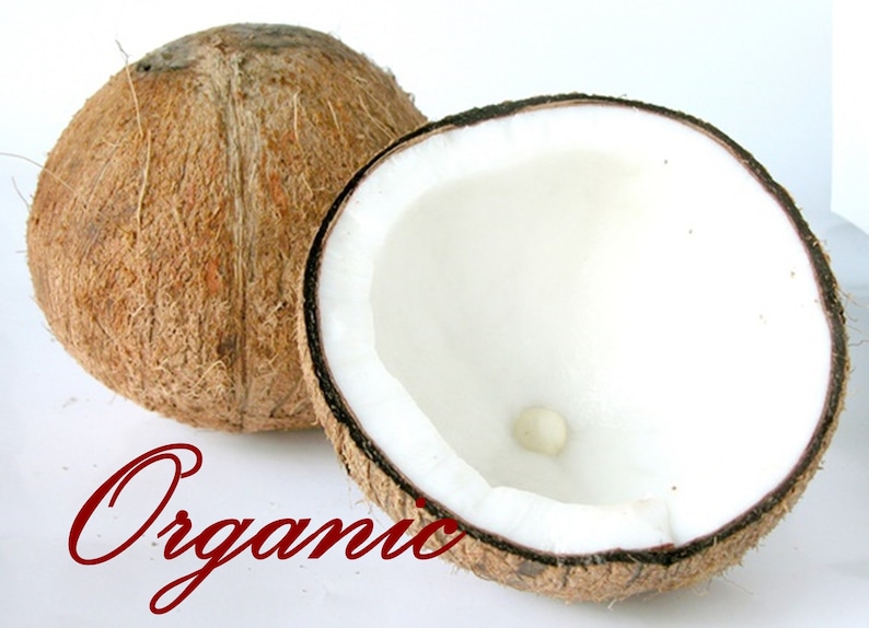 May include: A whole coconut and a half coconut with the inside showing the white flesh. The word "Organic" is written in red cursive below the coconuts.