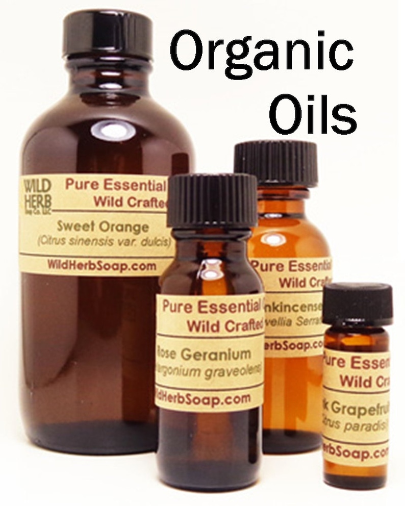 7 Lb AVOCADO OIL pure Fresh Bulk Size Wholesale Price Etsy