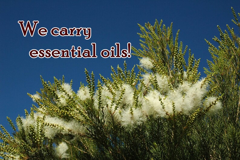 May include: A close-up of a bush with white fluffy flowers against a bright blue sky. The text "We carry essential oils!" is superimposed on the image.