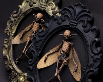 May include: Two framed insectoid skeleton figures with outstretched wings. One frame is black, the other gold. The figures have a skeletal appearance with detailed wings. The frames have ornate, baroque-style designs. The background is a solid black.