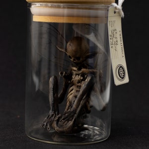 May include: A glass jar with a wooden lid contains a skeletal fairy figurine with wings. The jar has a label that reads "UMBRATHEIGA" and includes a handwritten note with the text "# 082  Fairy  Found  24.09.2014  62.7124".