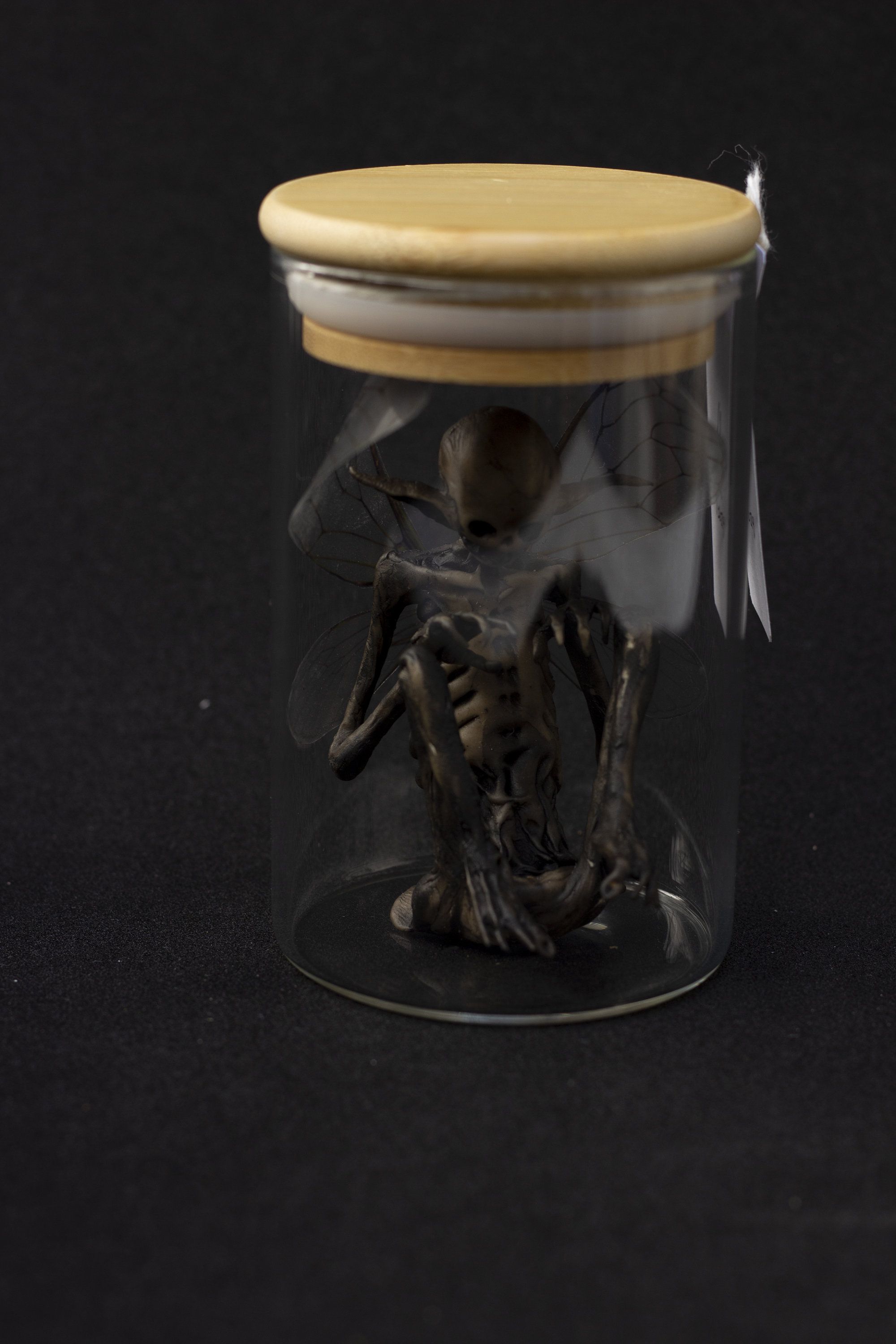 Handmade Dead Fairy - Inside Flask - Etsy