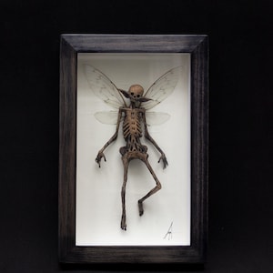 Mummified Fairy (FRAMED) HANDMADE