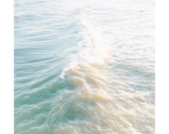 Folly Surf
