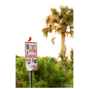 Folly Signs