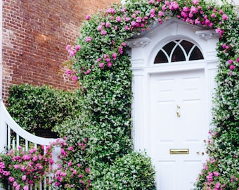 The Jasmine Door