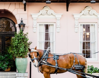 Mills House Carriage
