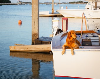 Golden Retriever Boat Print, Golden Hour Archival Paper