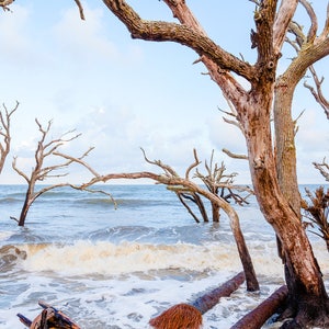 Botany Bay