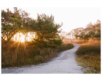 Folly Beach Sunbeams