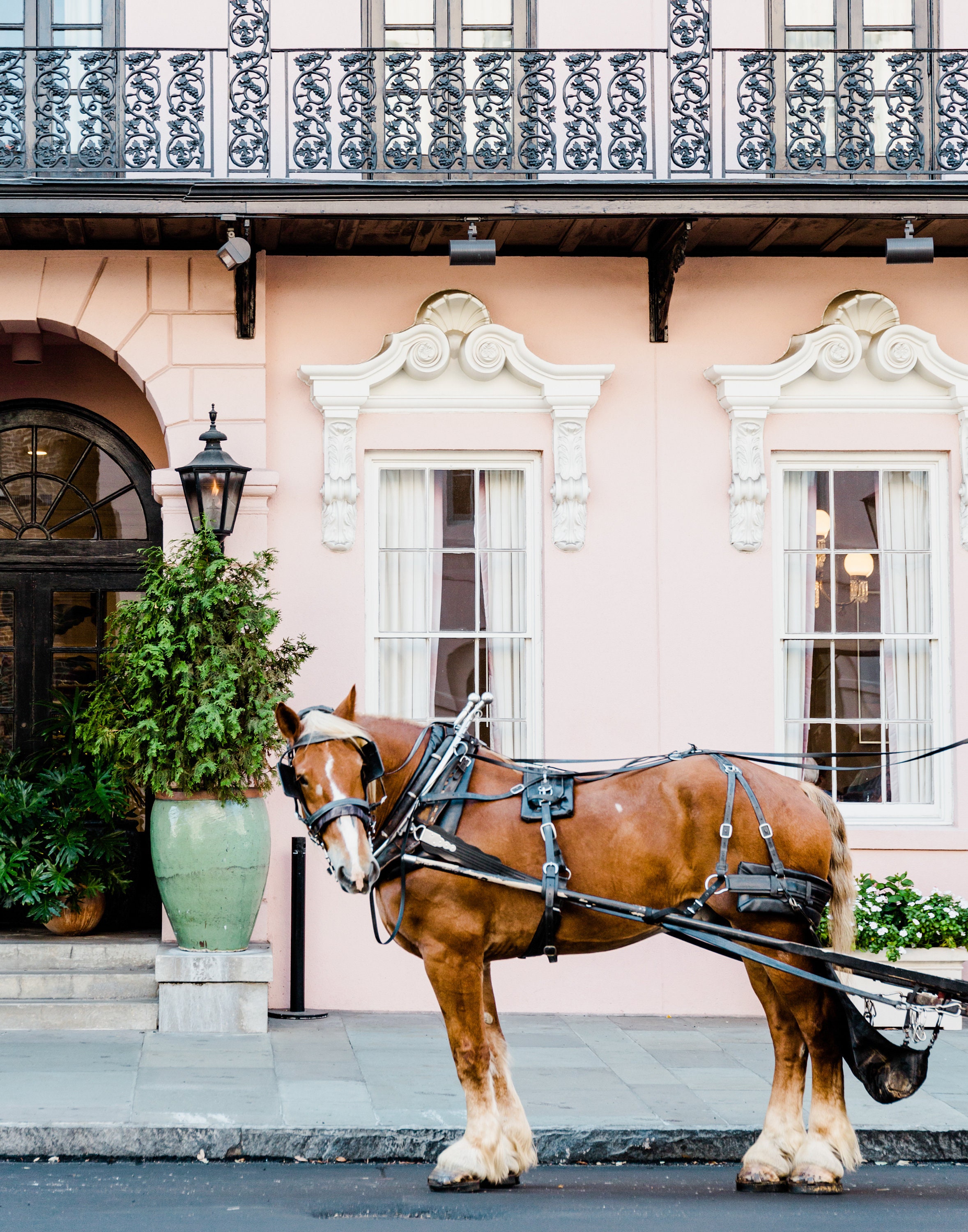 Wall Grouping of 6 Charleston Prints, sized at 11x14