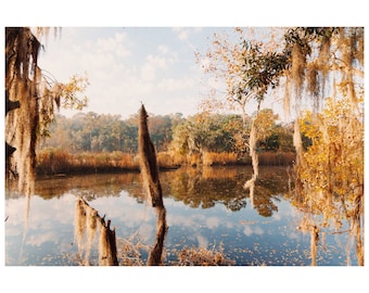 December on Church Creek