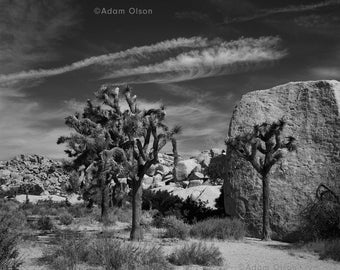 Joshua Tree National Park