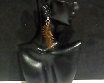 Centipede Earrings/Creepy Crawler/ Bug Earrings READY TO SHIP