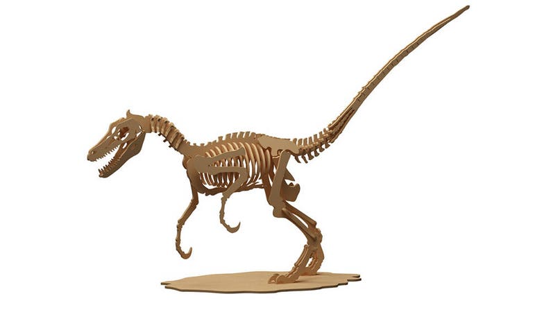 anatomically correct velociraptor