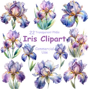 Puede incluir: Una colección de ilustraciones de flores de iris en acuarela en tonos morados, azules y amarillos. El texto 22 Transparent PNGs Iris Clipart Commercial Use está centrado entre las flores, que presentan pétalos ondulados y tallos verdes.