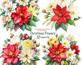 Christmas Poinsettia Clipart Bundle - Narcissus & Jasmine (12 PNGs)