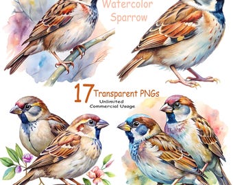 Imágenes prediseñadas de gorrión en acuarela: 17 imágenes PNG de aves realistas (uso comercial)