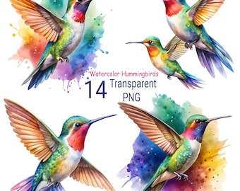 Watercolor Hummingbird Clipart: 14 Bird PNG Bundle (Digital Download)
